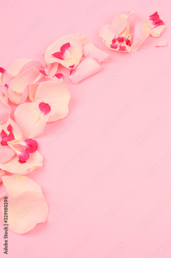 Spring floral background, texture, wallpaper. Spring flowers concept. Space for text