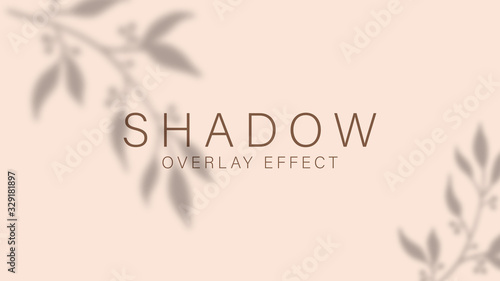 Shadow overlay effect. Transparent soft light and shadows from branches, plant, foliage and leaves. Mockup of transparent leaf shadow overlay effect and natural lightning. Vector mock up gradient mesh photo