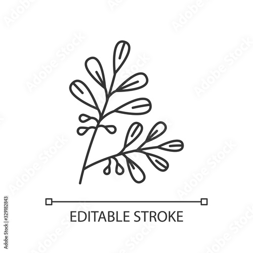 Coca pixel perfect linear icon. Branche of cocaine tree. Erythroxylum coca. South Plant stimulant. Thin line customizable illustration. Contour symbol. Vector isolated outline drawing. Editable stroke
