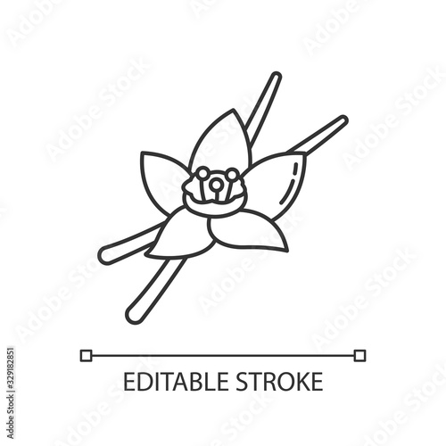 Vanilla pixel perfect linear icon. Aromatic flower and pods of vanilla orchid. Baking ingredient. Thin line customizable illustration. Contour symbol. Vector isolated outline drawing. Editable stroke