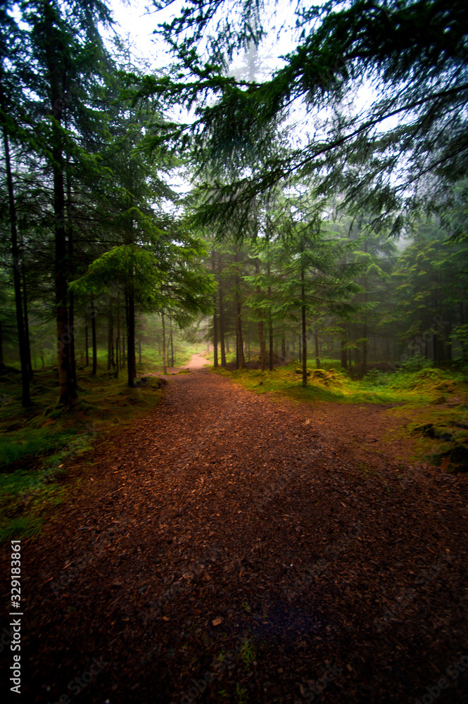 Fototapeta premium Mount Floyen