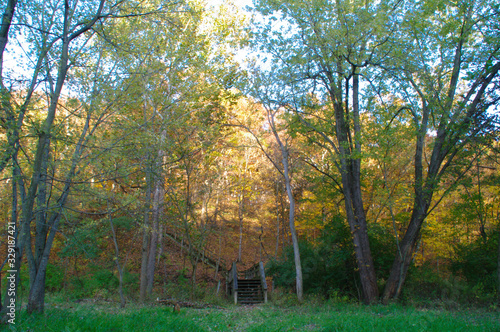 Steps surrounded by autumn trees