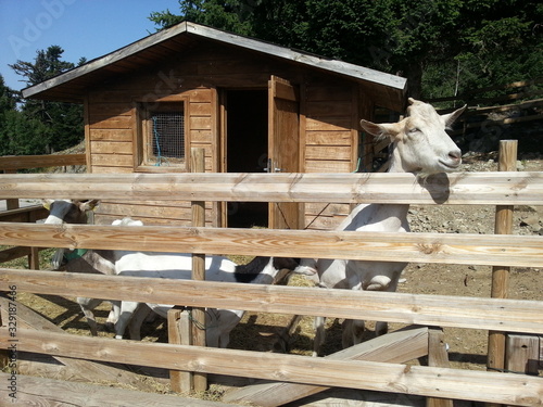A la ferme 
