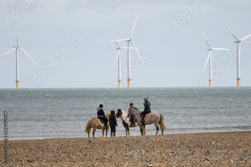 Horses beach wind farm green energy 