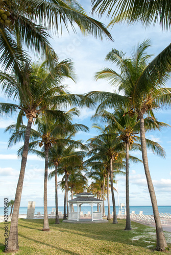 Grand Bahama Island Lucaya Beach Palms © Ramunas
