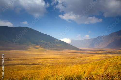 meadows and hills that are green and very extensive in bromo tengger semeru national parks