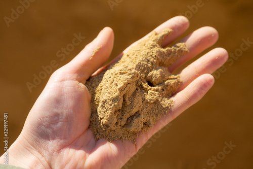 Hand of a young women holding raw clay for plastering