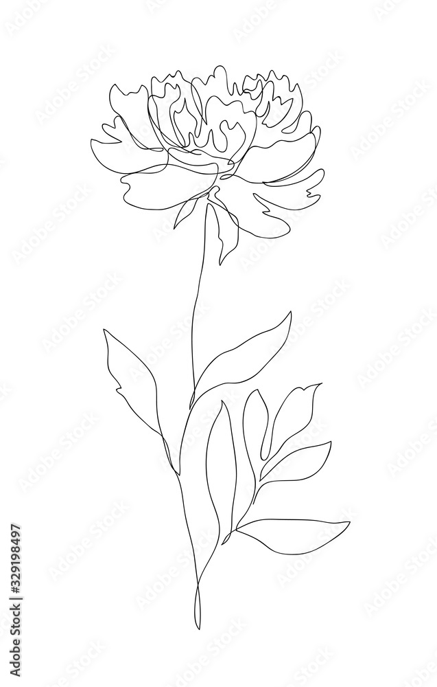 Beautiful peony flower. Line art concept design. Continuous line drawing. Stylized flower symbol. Vector illustration. Beautiful peony flower. Line art concept design. Continuous line drawing. Stylized flower symbol. Vector illustration.