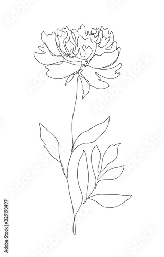 Beautiful peony flower. Line art concept design. Continuous line drawing. Stylized flower symbol. Vector illustration.