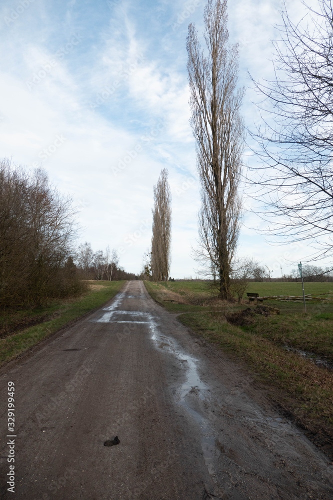 Fototapeta premium Wilde Natur im März