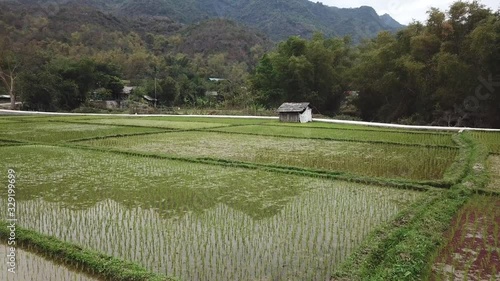 aerial view of plantation in vietnam