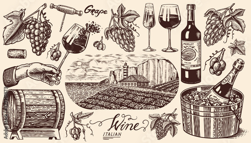 Vineyard and Wine Set. Ice bucket, Corkscrew Cork Grapes, wooden barrel. Sparkling champagne, bottle and glass Cheers. Vine labels. Hand drawn Engraved vintage sketch for poster, restaurant menu.
