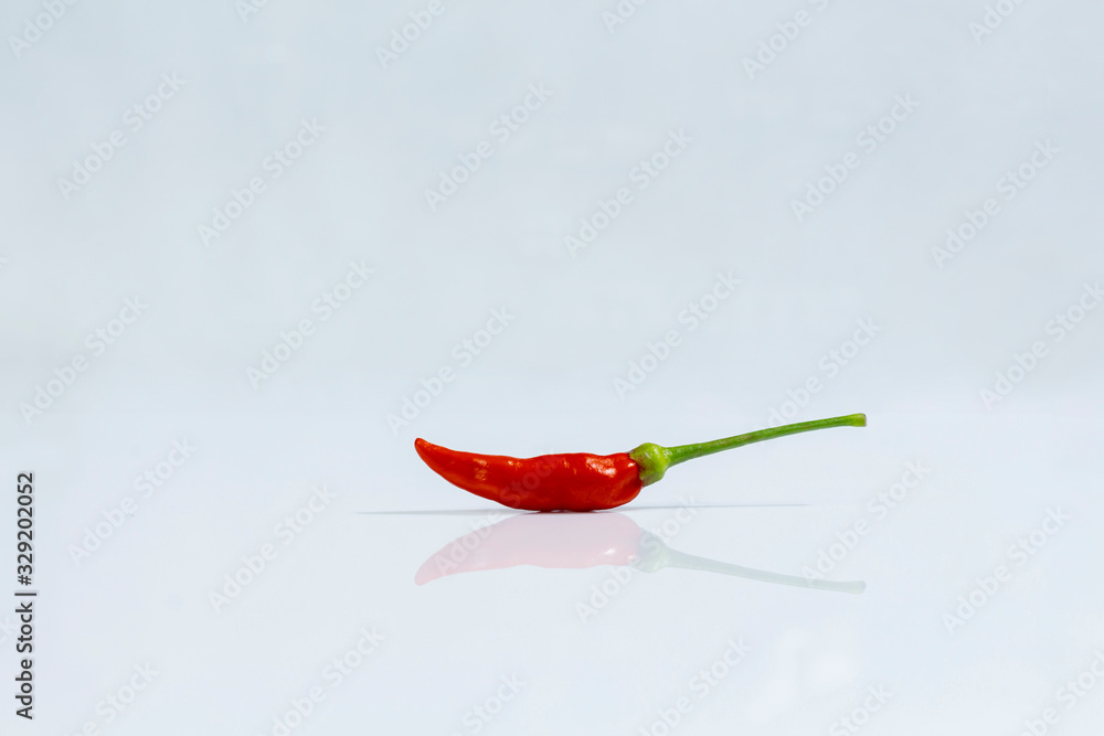 Chili Pepper, native to the tropical regions of the Americas Stock
