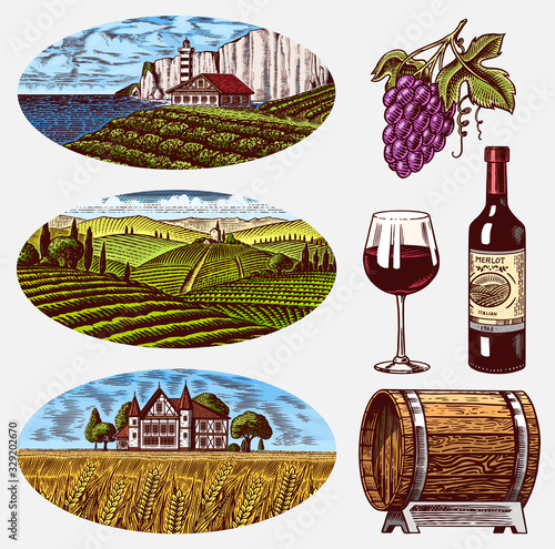 Vineyards and Wine Set. Grapes and wooden barrel. Vine plantation for bottle labels. Rural Fields Wheat Hills. Engraved landscape. Hand drawn vintage sketch for alcohol poster, bar and restaurant menu