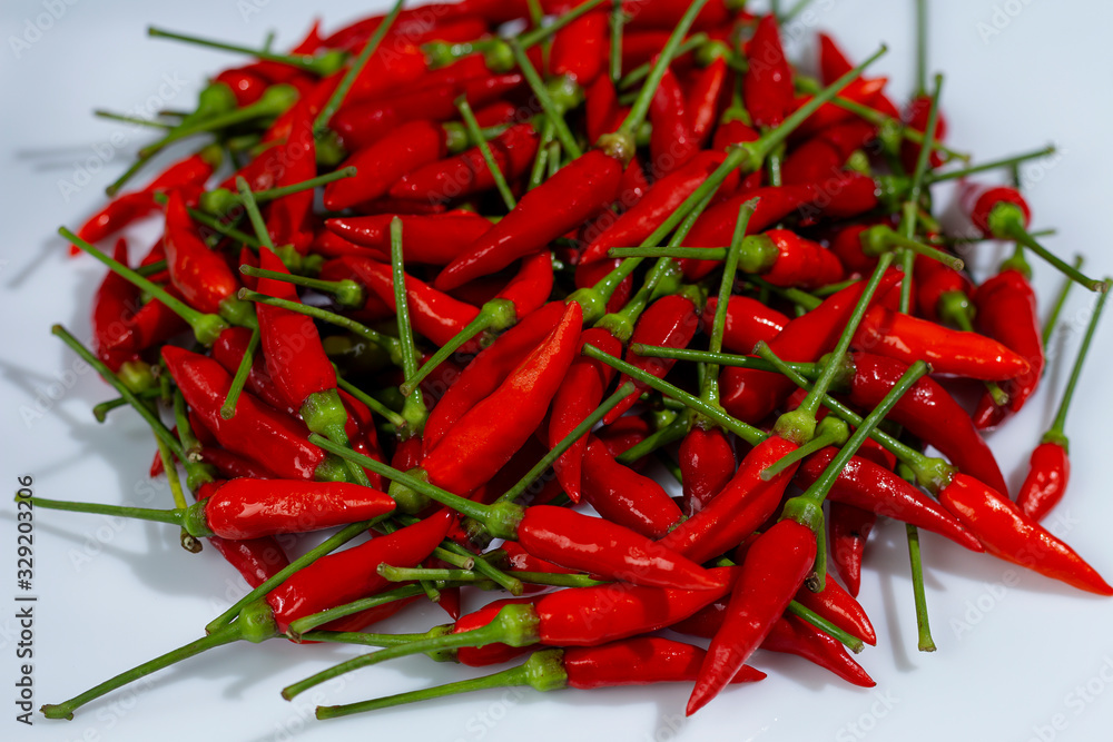 Chili Pepper, native to the tropical regions of the Americas Stock