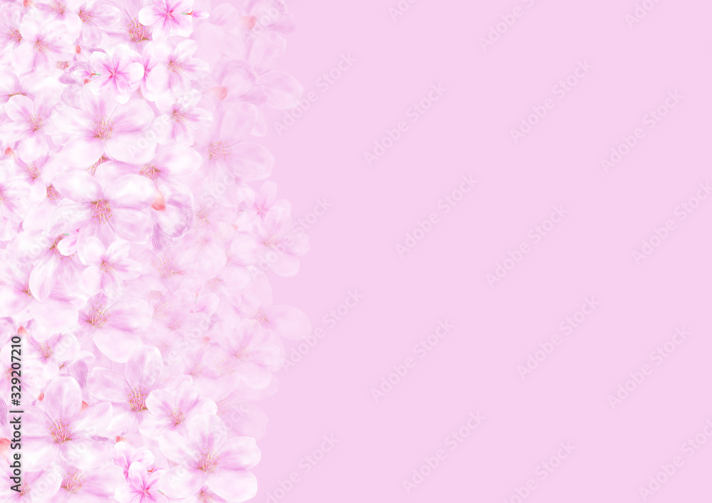 満開の桜 満開の桜