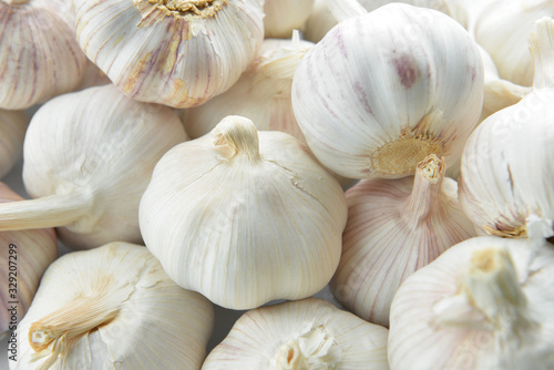 Heap of fresh garlic, closeup