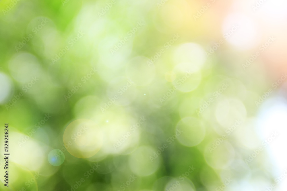 Obraz premium soft blur bokeh plants in the garden.