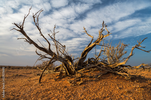 Drought-hit desert, Outback, Australia