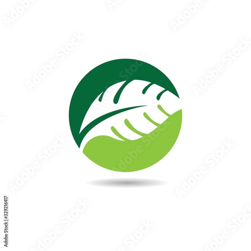 Taro leaves icon