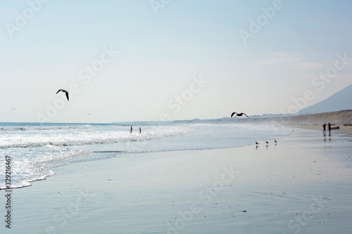 Beach with few people and many birds with the mountains in the background on a summer day 