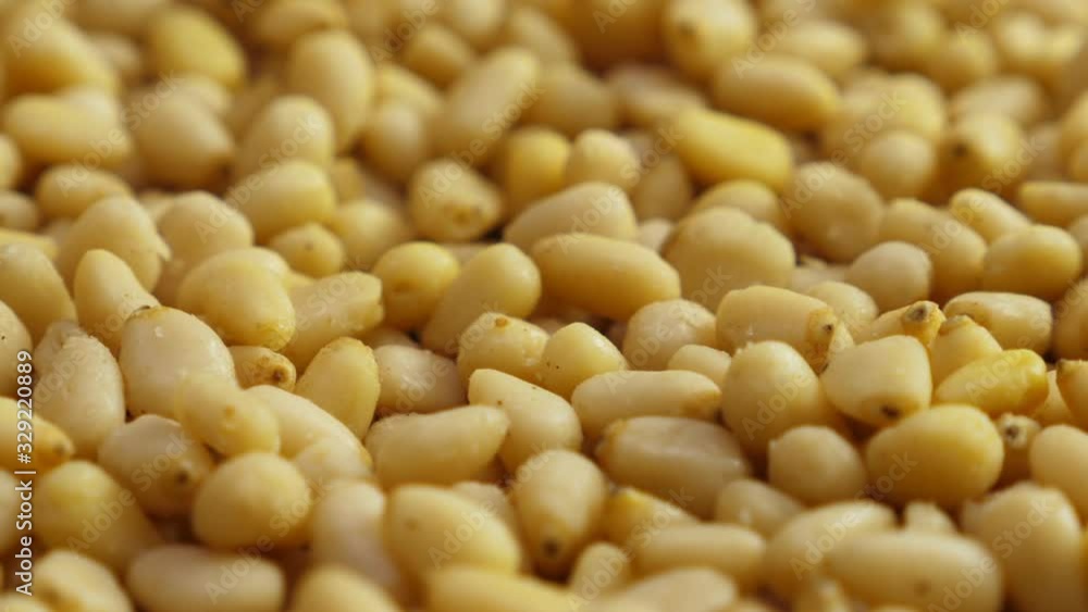 Pine nuts background. Unshelled cedar seeds, closeup. Rotate Pine nuts background. Unshelled cedar seeds, closeup. Rotate