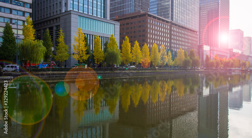 Photography Tokyo city autumn