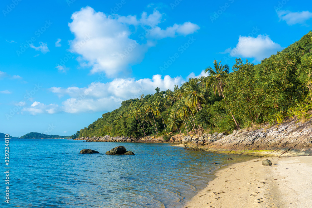 Sandy beach of a paradise deserted tropical island. Palm trees overhang on the beach. White sand. Blue water of the ocean. Rest away from people