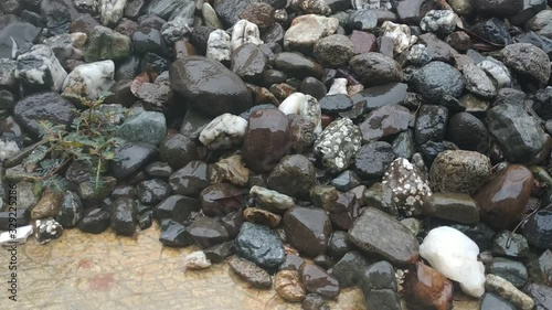 The sound of rain falling from gutters to small stones.