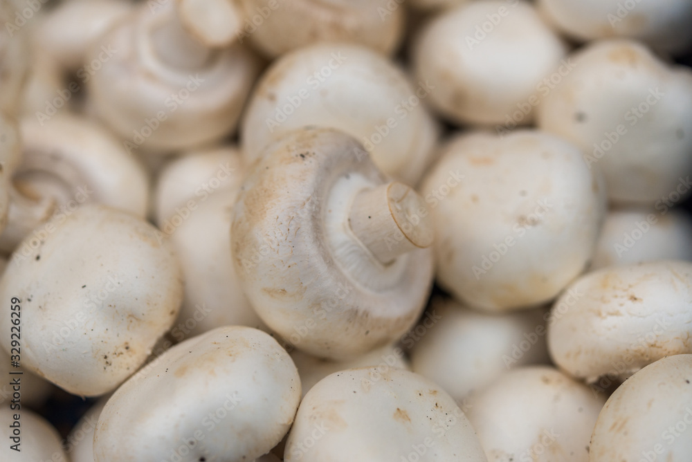 Close up of button champignon mushrooms at the farmers market stall