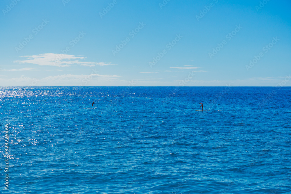 Sea Ocean Sky View Palm Trees Boating