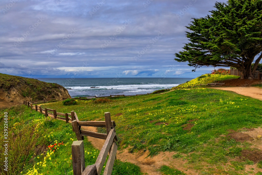 Path leading to the Pacific Ocean in Northern California over a hill with spring flowers, Moss Beach near San Francisco
