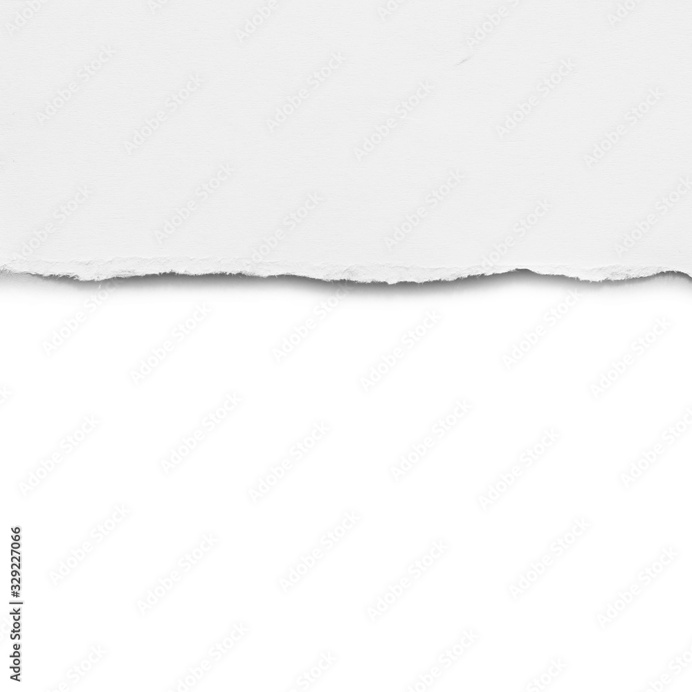 ripped paper isolated on white background with copy space ripped paper isolated on white background with copy space