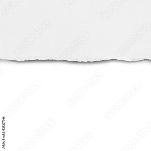 ripped paper isolated on white background with copy space
