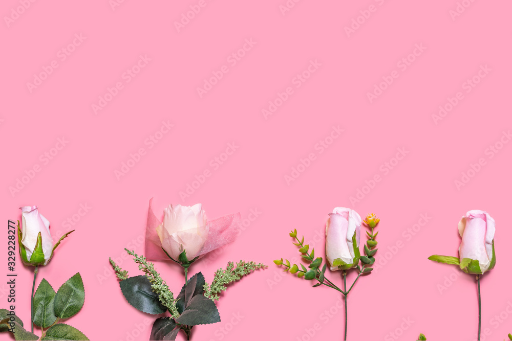 A layout of four pink roses flowers laying on the botting side on a pink background representing top view of copy space of decorations gifts for Christmas, valentine’s day, birthday and special events