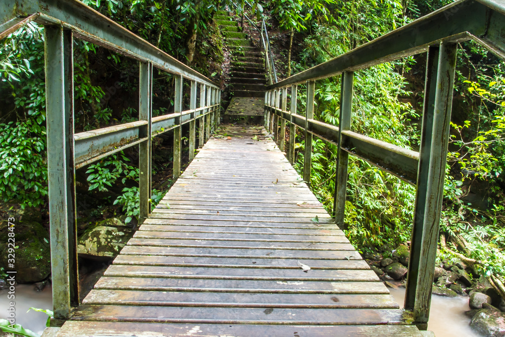 old steel bridge in forest