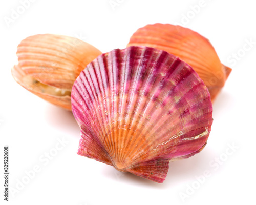 Raw scallop on white background  © zcy