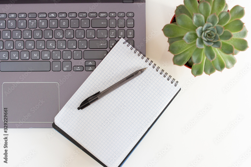 Office desk with laptop, notepad and succulent cactus on a white table Office desk with laptop, notepad and succulent cactus on a white table