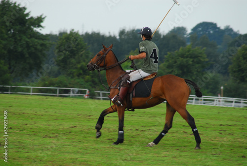 polo player sitting on a brown polo horse during a tournament