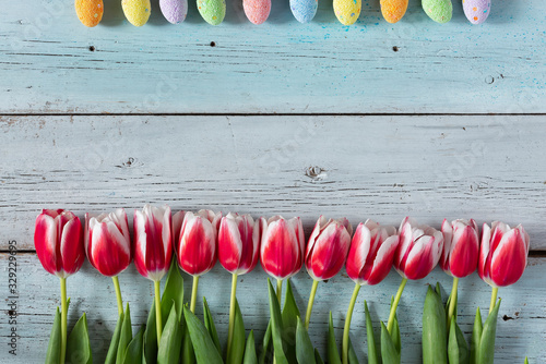 Easter background. Colored easter eggs on blue wooden background with copy space. Beautiful tulips photo