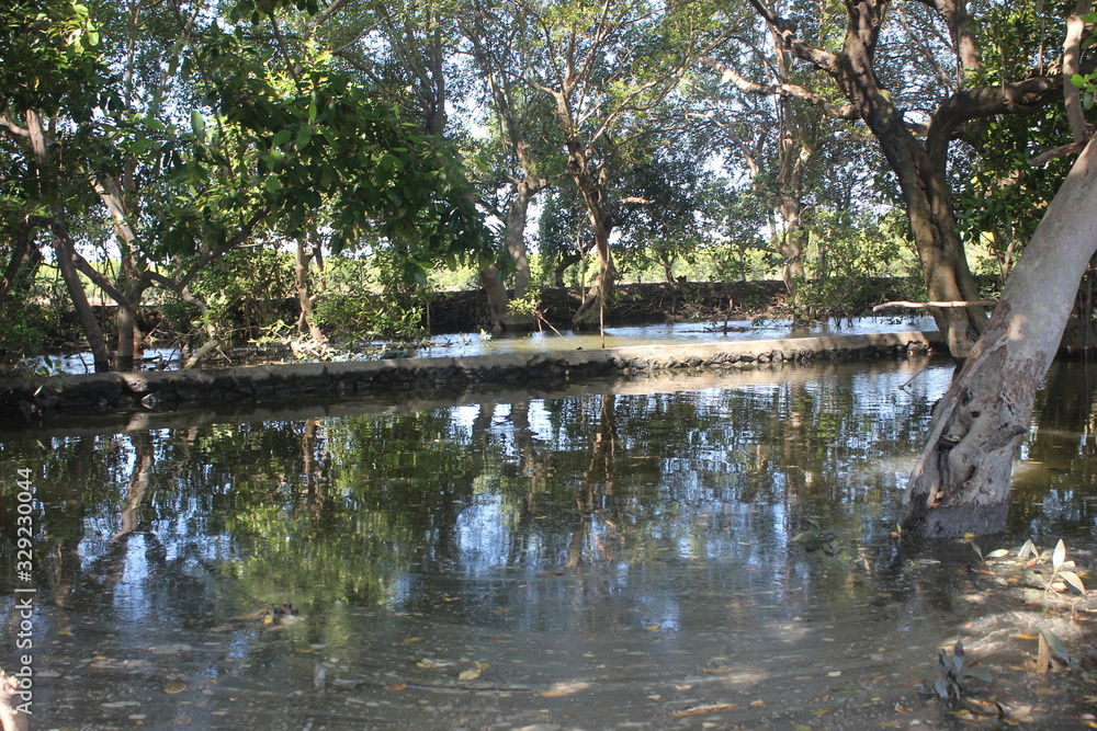 milkfish fishing pond, in the East Java district of Sidoarjo, Indonesia milkfish fishing pond, in the East Java district of Sidoarjo, Indonesia