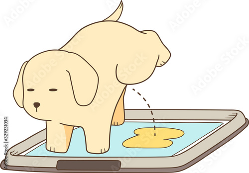 ゴールデンレトリバーの子犬（トイレでおしっこ）