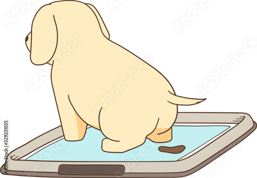 ゴールデンレトリバーの子犬（トイレでうんち）
