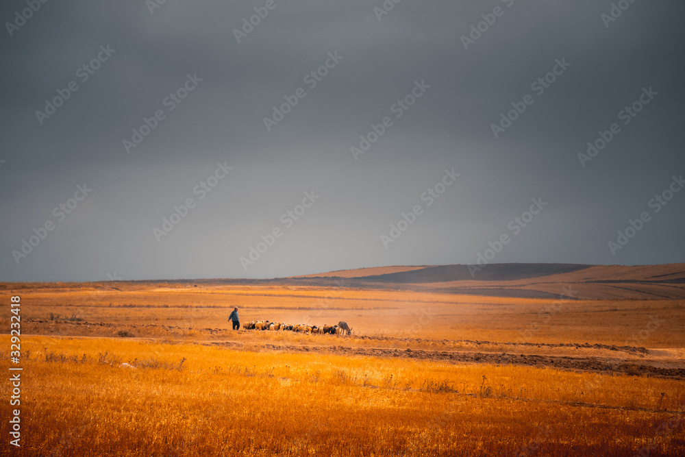 Flock of sheep with shepherd in an amazing landscape in a moody day in countryside with super colorful sky and clouds.