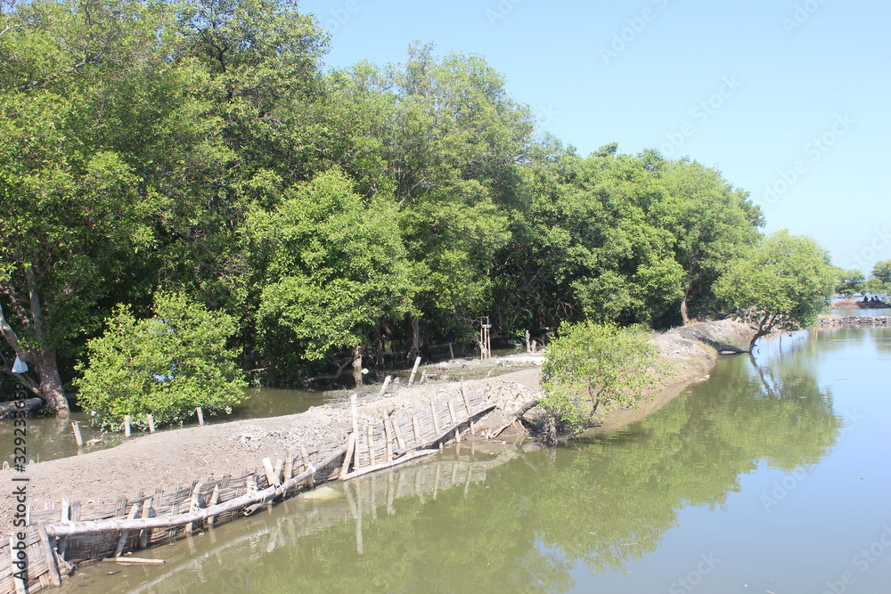 Fototapeta premium milkfish fishing pond, in the East Java district of Sidoarjo, Indonesia