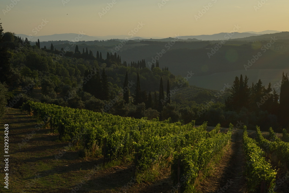 Naklejka premium morning in the mountains
