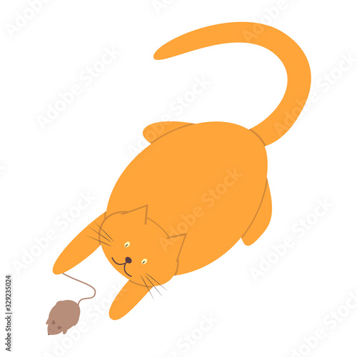 Cute homemade red cat playing with a mouse. A fat ginger cat holds a mouse by the tail.