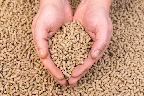 Hands holding granules of animal feed photo