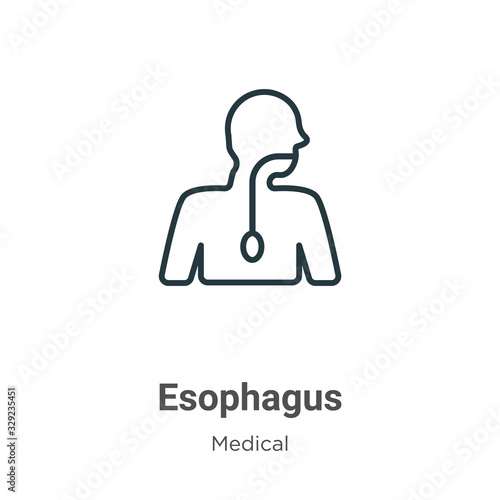 Esophagus outline vector icon. Thin line black esophagus icon, flat vector simple element illustration from editable medical concept isolated stroke on white background