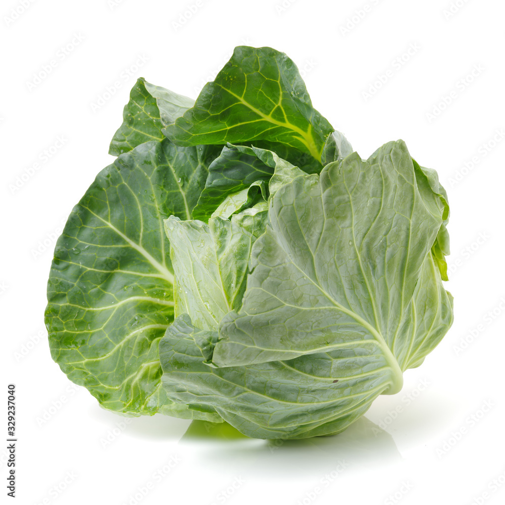 Fototapeta premium cabbage on white background